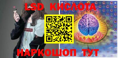 ПСИЛОЦИБИНОВЫЕ ГРИБЫ Кимры