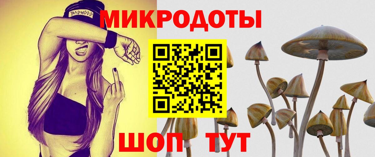 Псилоцибиновые грибы Cubensis  Галлюциногенные грибы Magic Shrooms  Кандалакша  Вход с VPN 
